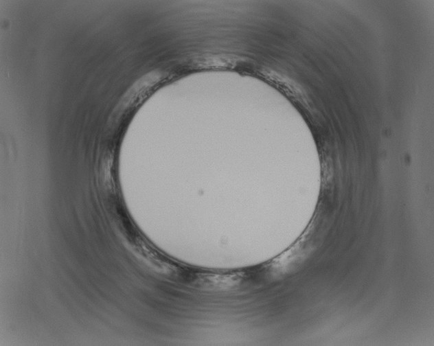 X0000078240166200612011613