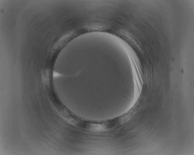 X0000078240167200612011613