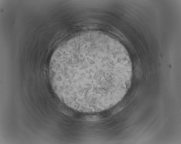 X0000078240169200612011613