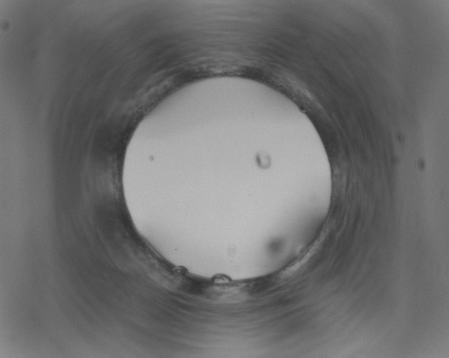 X0000078240170200612011613