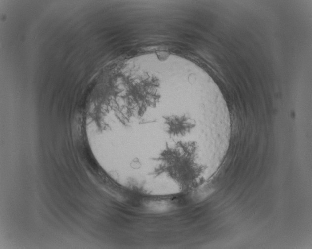 X0000078240171200612011613