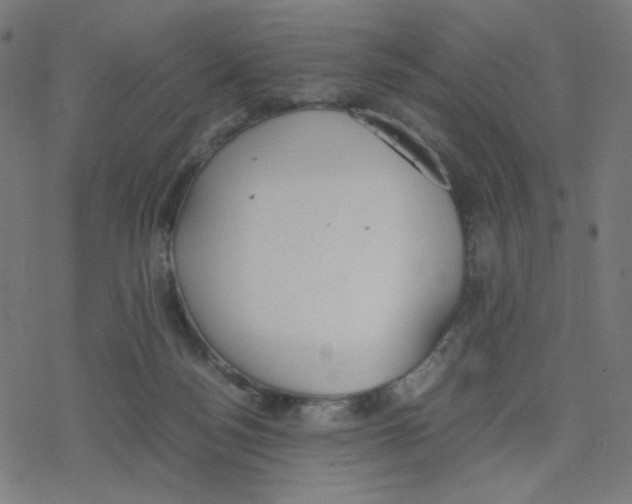 X0000078240172200612011613