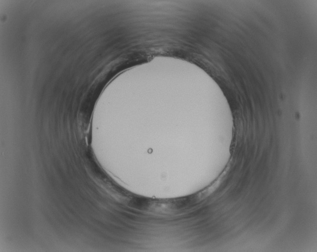 X0000078240174200612011613