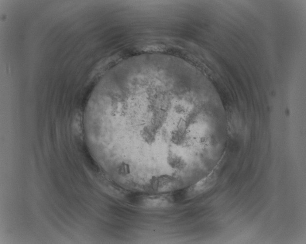 X0000078240175200612011613