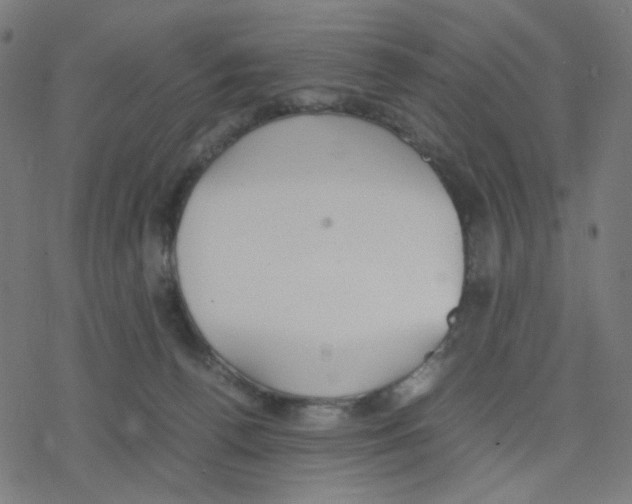 X0000078240176200612011613