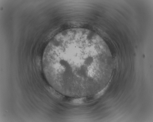 X0000078240178200612011614