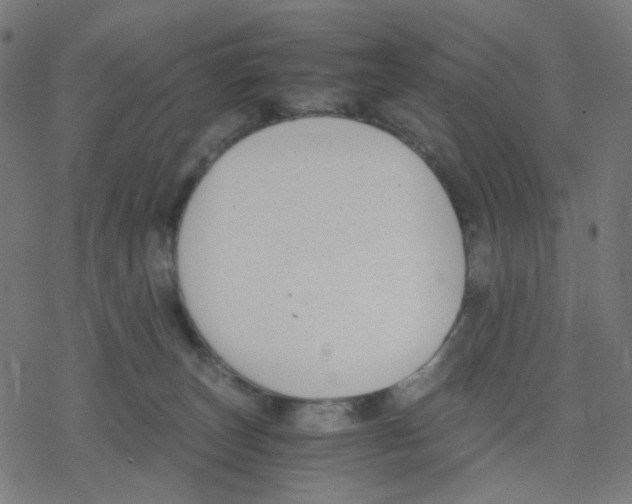 X0000078240179200612011614