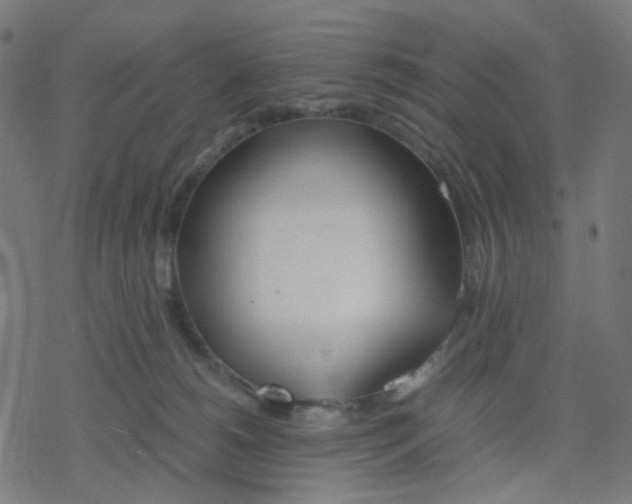 X0000078240180200612011614