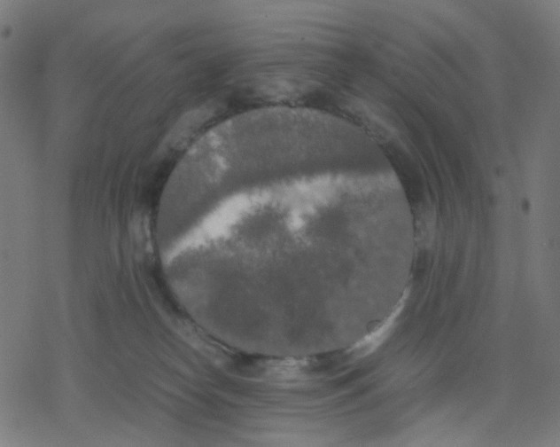 X0000078240182200612011614