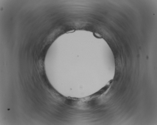 X0000078240184200612011614