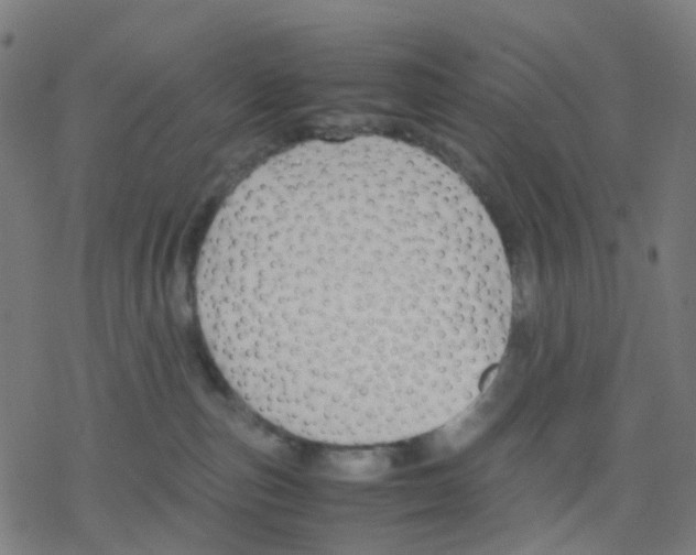 X0000078240187200612011614