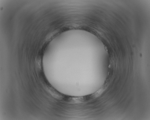 X0000078240188200612011614