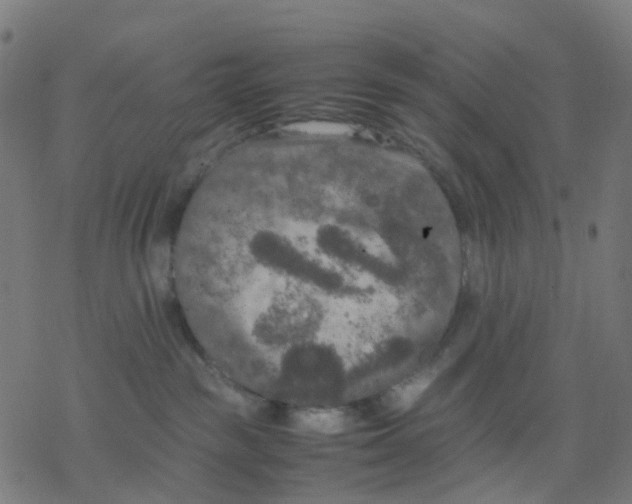 X0000078240189200612011614