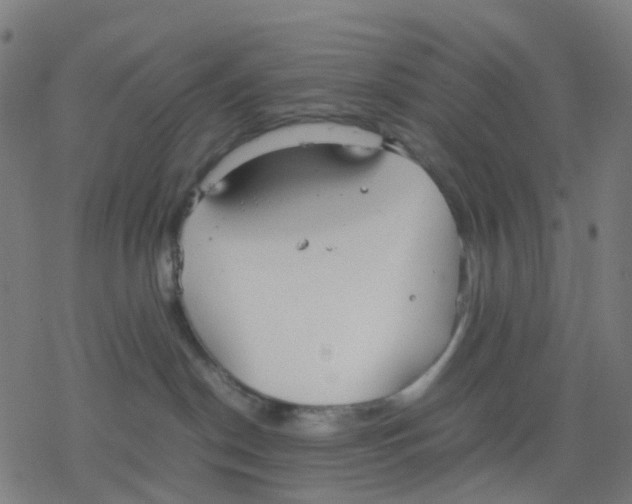 X0000078240190200612011614