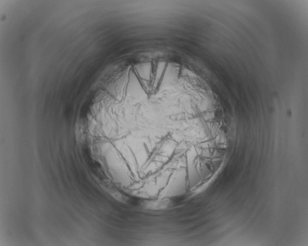 X0000078240191200612011614