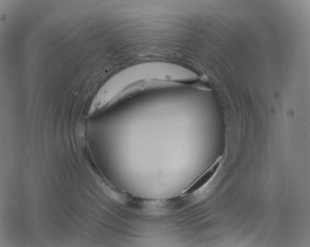 X0000078240192200612011614