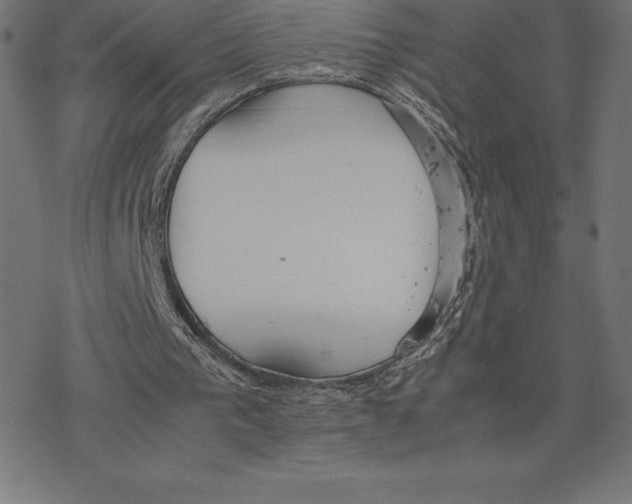 X0000078240193200612011613