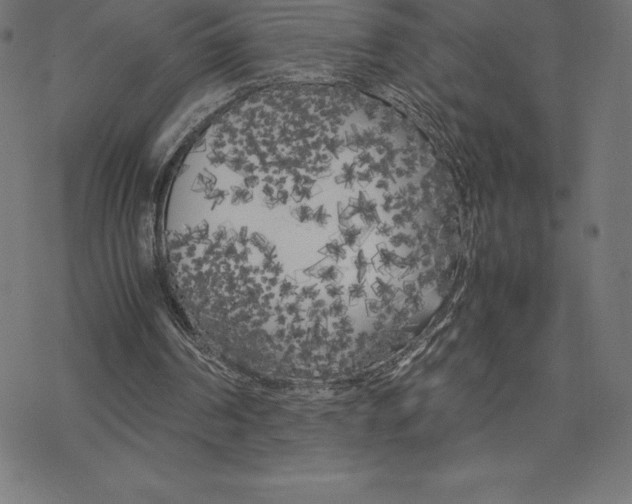 X0000078240194200612011613