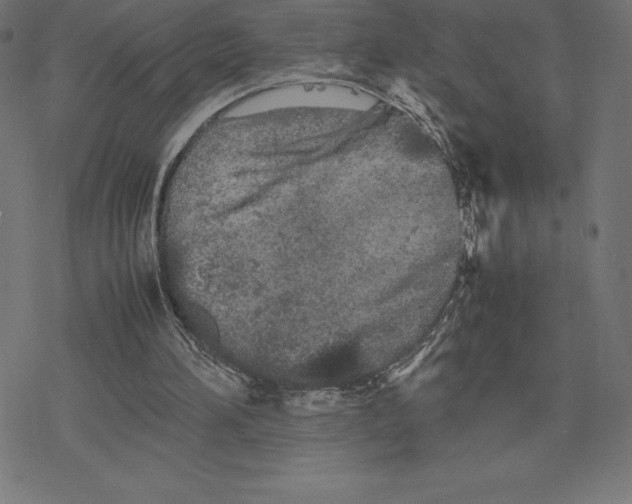 X0000078240196200612011613