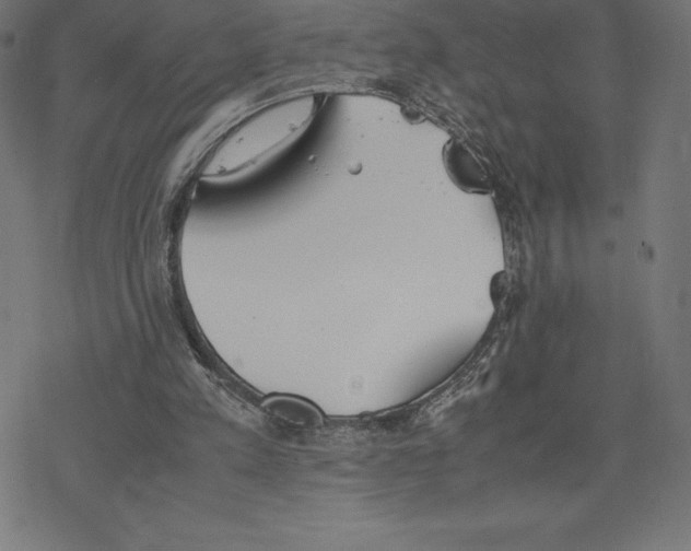 X0000078240197200612011613