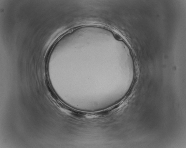 X0000078240199200612011613