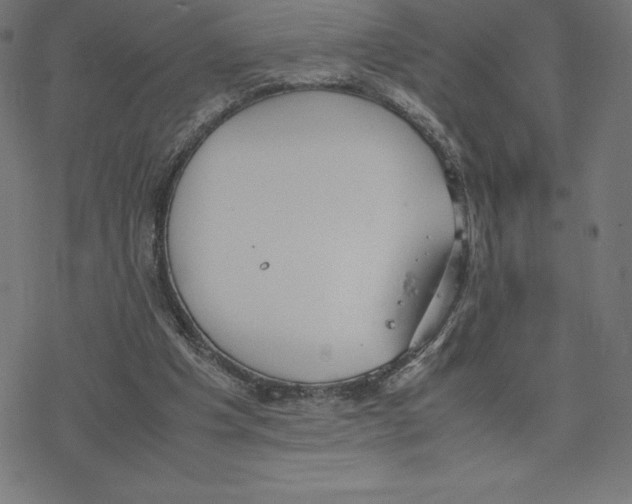 X0000078240201200612011613