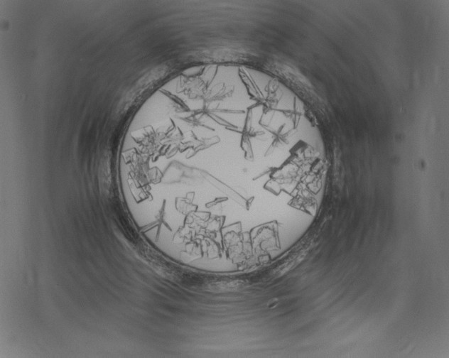 X0000078240202200612011613