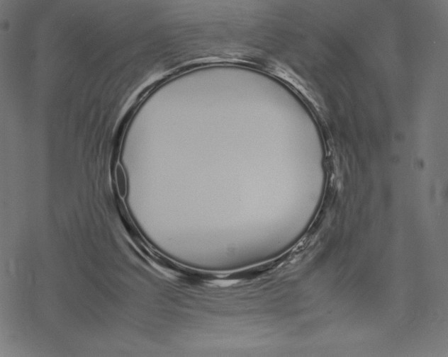 X0000078240203200612011613