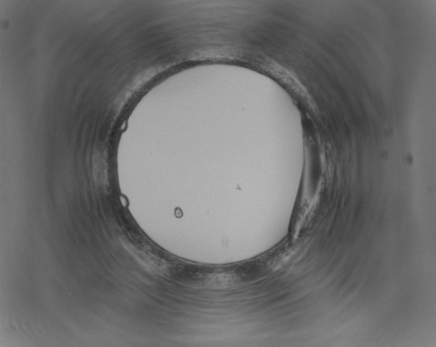 X0000078240204200612011613