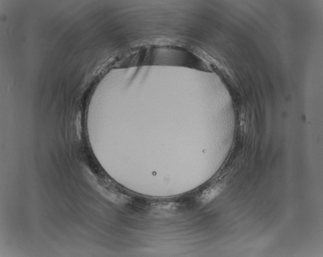 X0000078240206200612011613