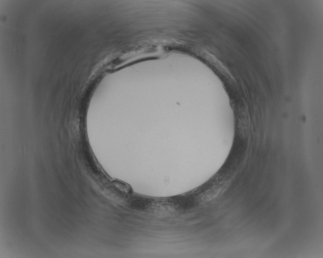 X0000078240207200612011613