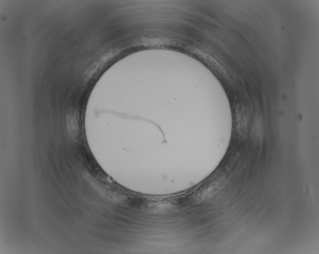 X0000078240208200612011613