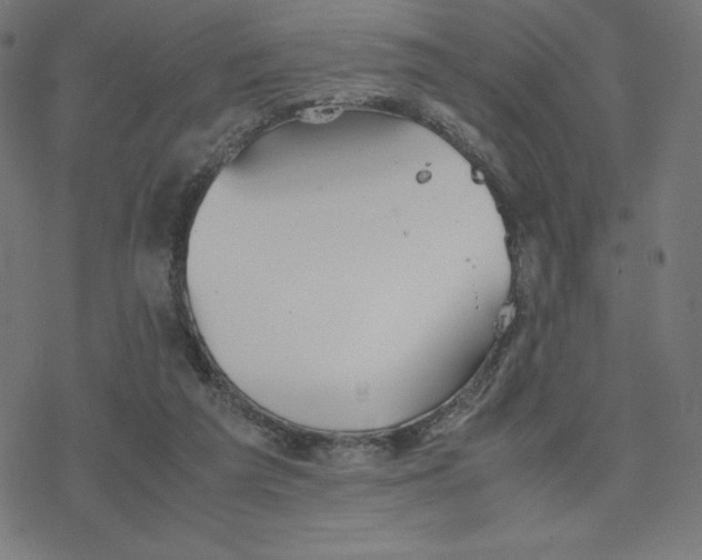 X0000078240209200612011613