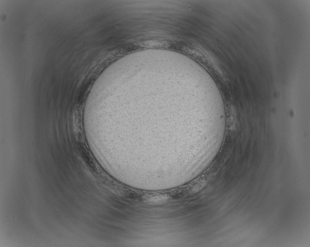 X0000078240210200612011613