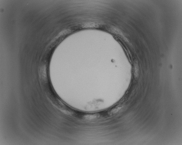 X0000078240211200612011613