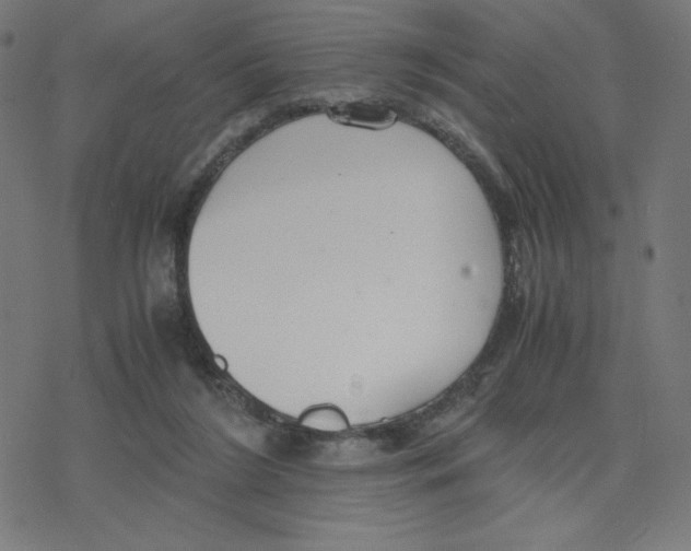 X0000078240212200612011613