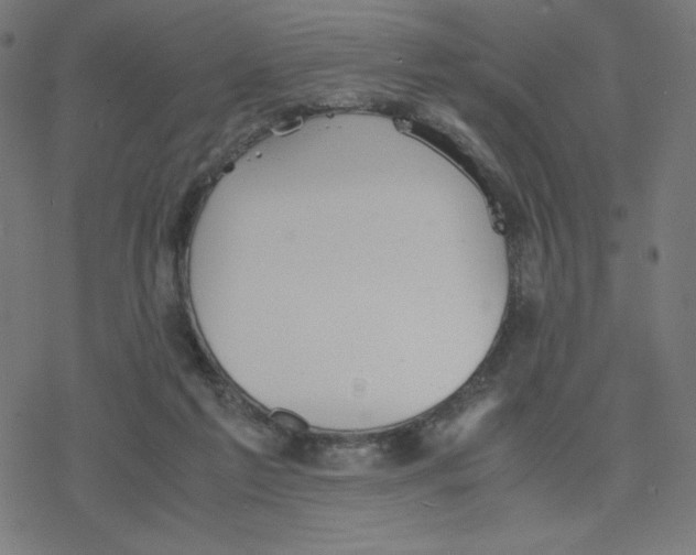 X0000078240213200612011613