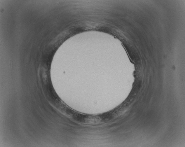 X0000078240215200612011613