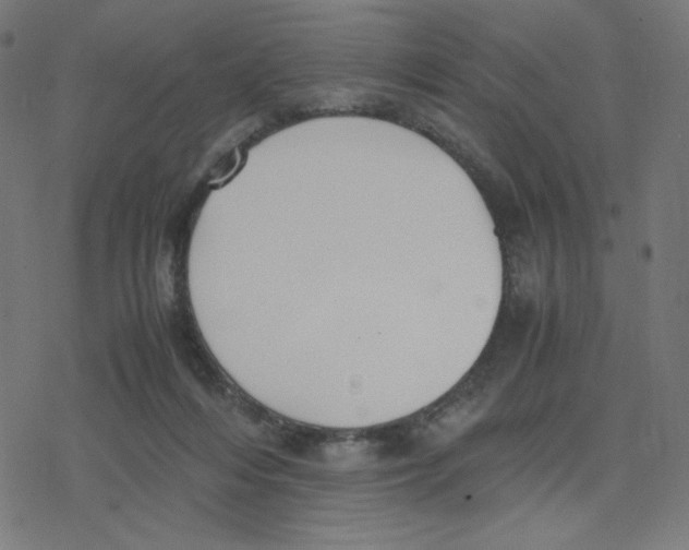 X0000078240216200612011613