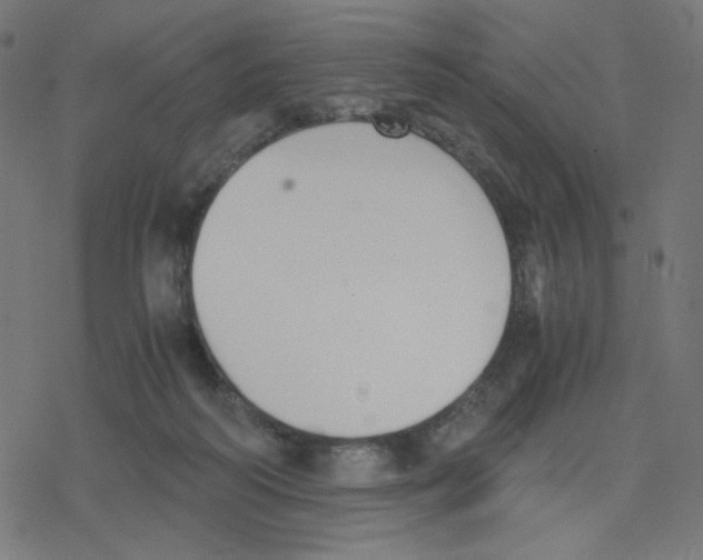 X0000078240218200612011613