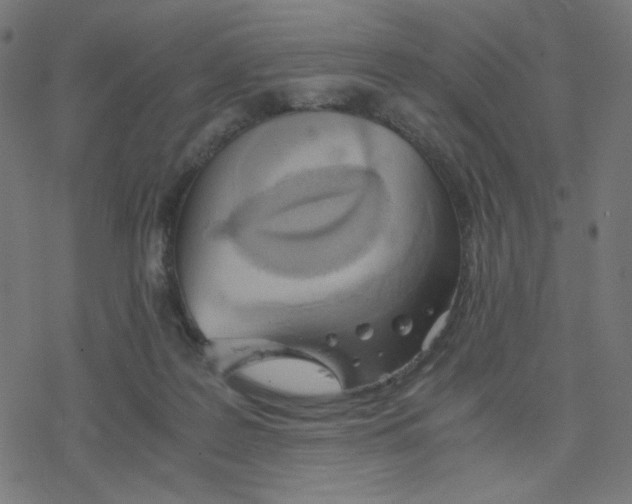 X0000078240219200612011613