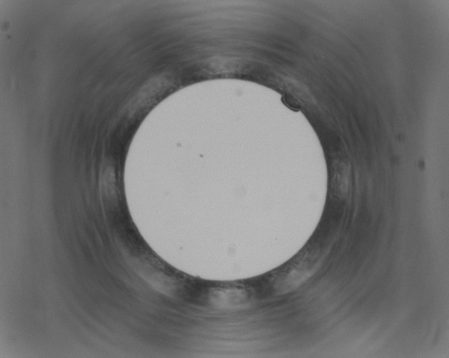 X0000078240220200612011612