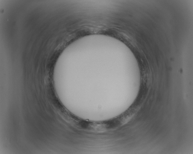 X0000078240221200612011612