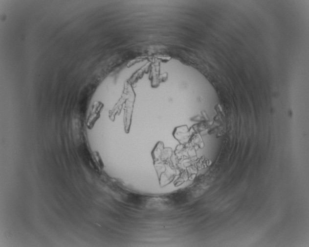 X0000078240222200612011612