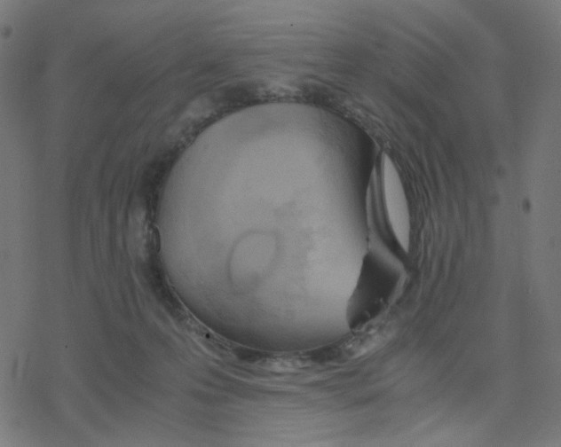 X0000078240223200612011612