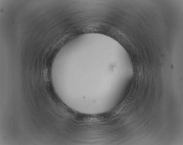 X0000078240224200612011612