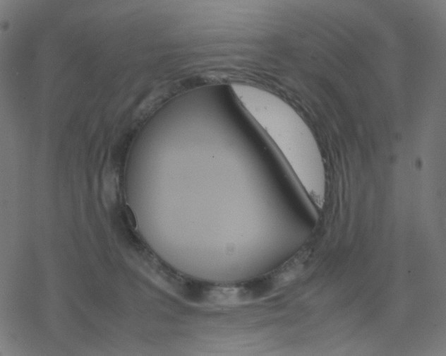 X0000078240227200612011612