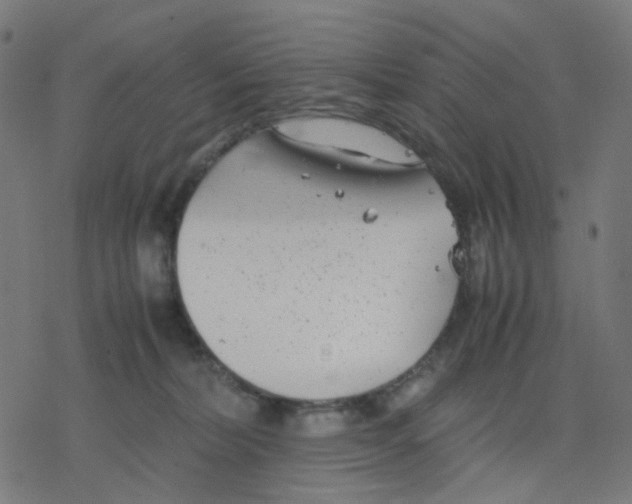 X0000078240228200612011612