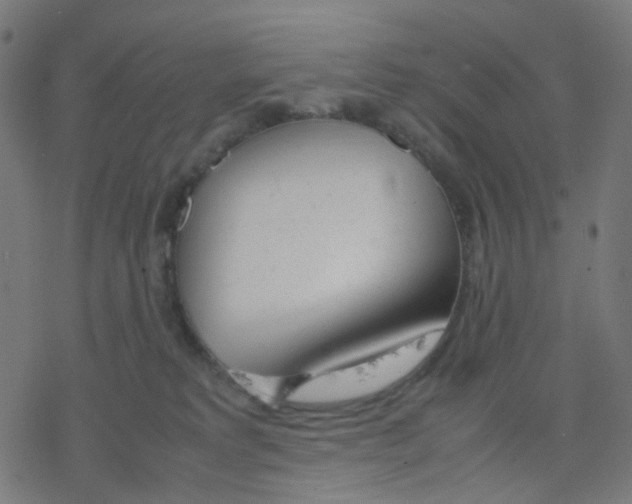 X0000078240229200612011612