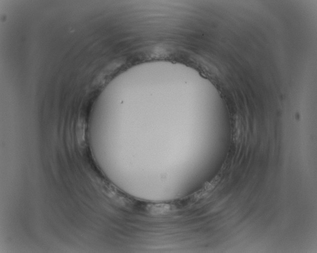 X0000078240230200612011612